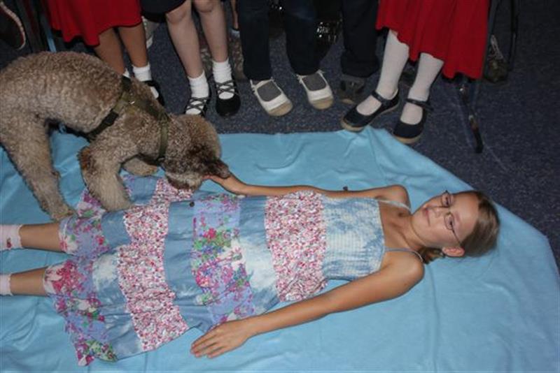 accadis news kinderhoschule wolf
