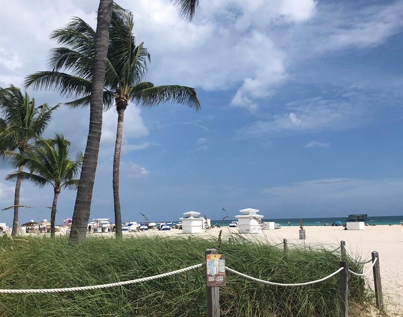auslandssemester florida boca raton