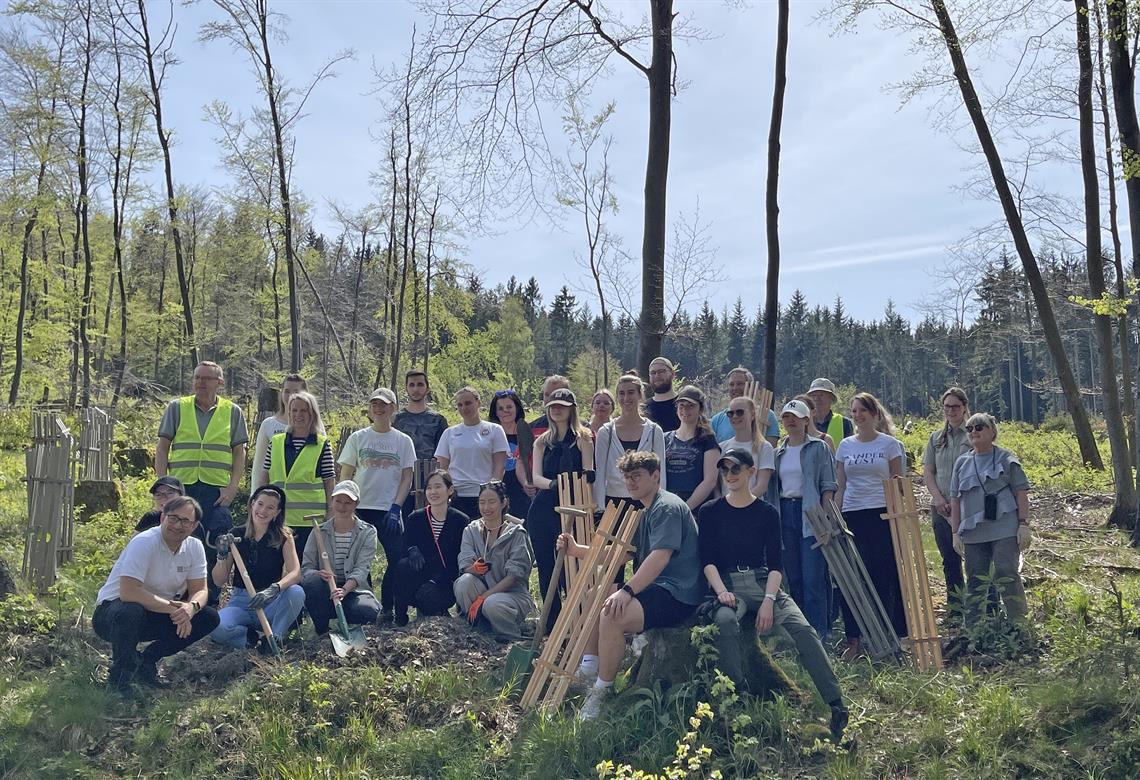 Neue Hoffnung für den Taunus: accadis Bildungswald wächst um 225 Bäume